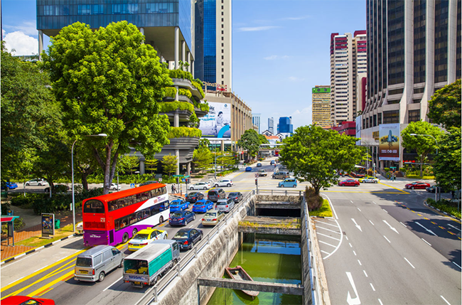 Registering a SG company requires five addresses